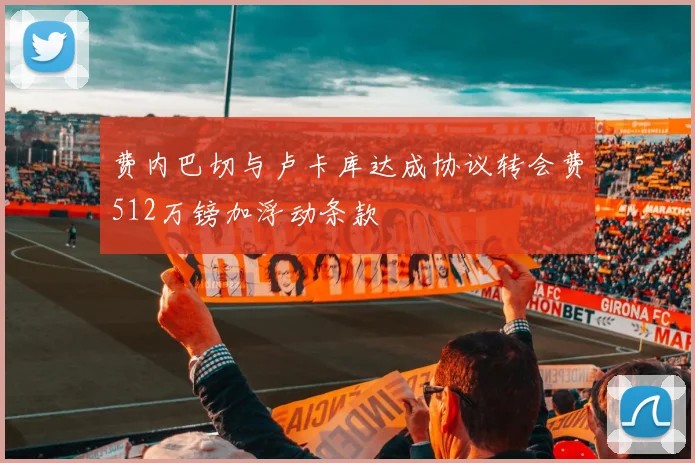 费内巴切与卢卡库达成协议转会费512万镑加浮动条款